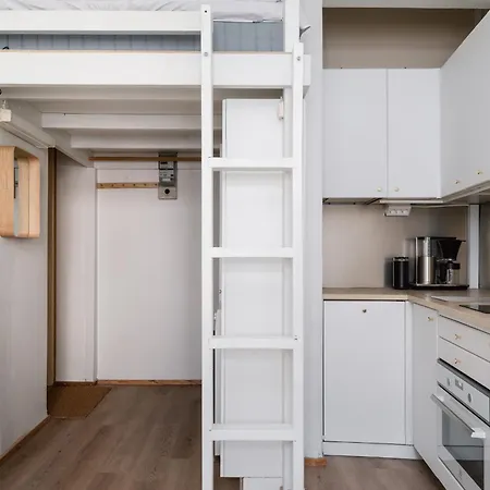 Cozy Renovated In Kallio Near Metro Station 公寓